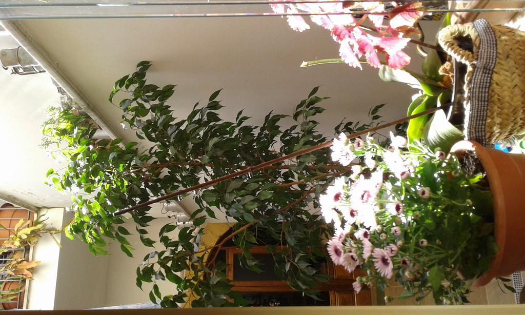 Bed and Breakfast Arco Ubriaco Agrigent Exterior foto